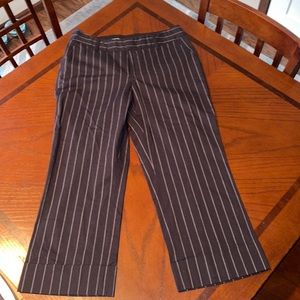 Tangents Stretch Dress Capris